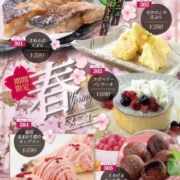 U25キャンペーン&のりかえキャンペーンの詳細