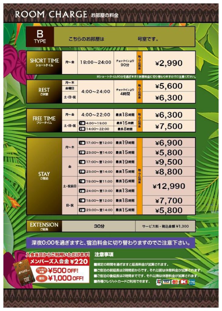 料金表タイプB